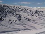 Le foto di Presolana: Pista motoslitte lungo monte alto